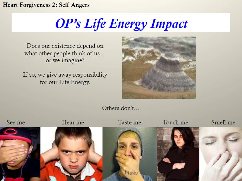 HFPP-layman-18